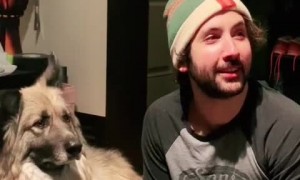 What happens if you call your dog when he's right next to you?