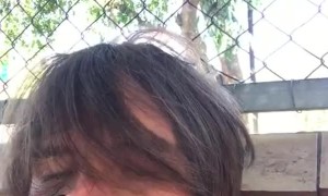 Monkey Gives a Detailed Grooming