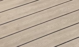 Playful Dog Gets Bopped by Ball