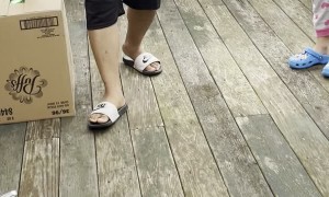 Box Hides Furry Birthday Surprise