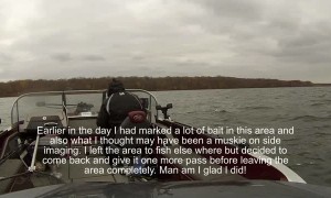 Monster Muskie from Mille Lacs Lake