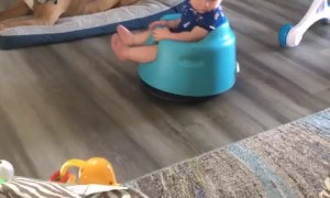 Baby Enjoys Ride on Roomba Vacuum