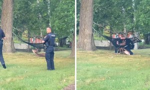 Police rescue buck stuck in hammock