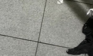 Basement Quickly Fills With Water During Flood