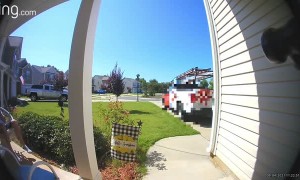 Sudden Slam as Porch Swing Gives Way