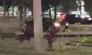 Peeling Out in the Parking Lot