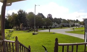 Owner Clings to Rambunctious Dog Down Deck