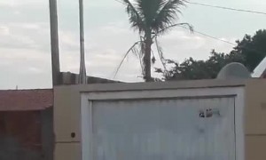 Independent Doggie Dips under Garage Door