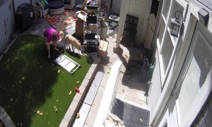 Loose Hose Proves Hazardous