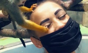 Rambunctious Monkey Snags a Few Lashes