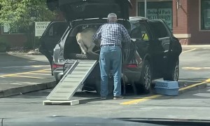 Best Buds Age Together