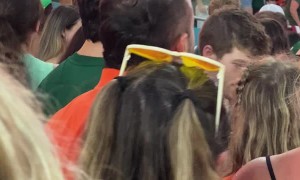 Stadium-Goers Use Flag to Catch Falling Cat