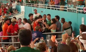 Falling Cat Caught by Fans