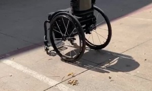 Rolling Wheelchair Returns