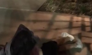 Dollar Drinks Might Leave Dent