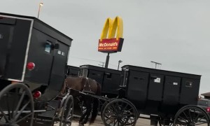 Group of Amish Buggies Parked at McDonald's