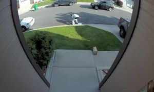 Clumsy Alleged Porch Pirates Fumble Down Porch