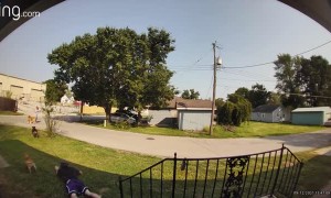 Dog Launches Man Into the Air With Extendable Lead