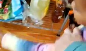 Child Tries to Use Scissors to Cut Dog's Pompoms