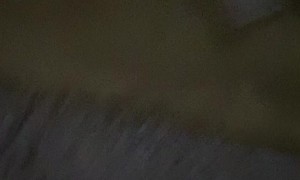 Dark Room Doesn't Deter Dog with Flashlight