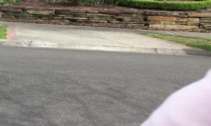 Baby Sees Dogs for First Time