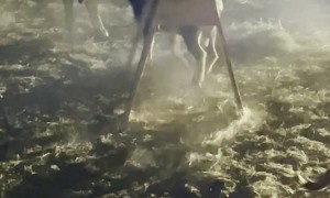 Goat Just Wants to Be Big