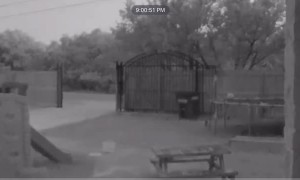 Doorbell Camera Catches Deer Running into Gate Pole