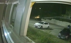 Bear Climbs All Over Car Looking for a Snack