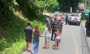 Police Escort Sloth as It Slowly Crosses Road