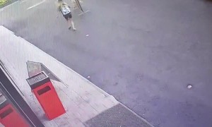 Strong Dog Doesn't Let Fence Slow it Down