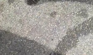 People Get Pushy Over Parking Spot