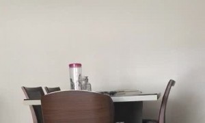 Sneezes Seem to Creep Out Cat