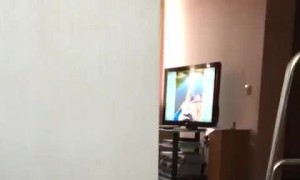 Jack Russell Gently Holds Paw in Mouth