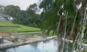 Little Dog Loves Waterslide