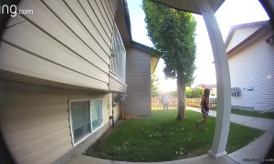 Kids Doorbell Ditching Don't Know How Video Doorbells Work