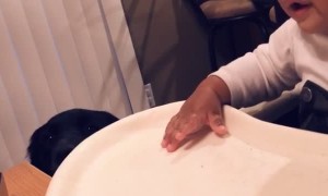 Baby Tries to Beatbox Like Dad