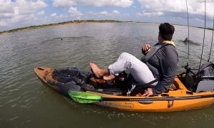 Pod of Dolphins Play with Kayakers