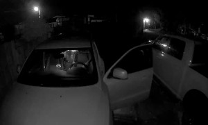 Bear Opens Car for Crackers