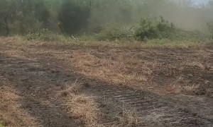 Anchor Chain Brush Clearing