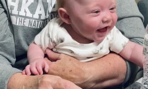 Baby Belly Laughs at Crinkling Water Bottle