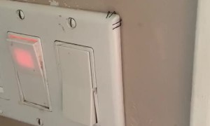 Spider's Legs Poke Out From Behind Light Switch
