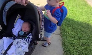 Little Boy Meets His New Baby Brother