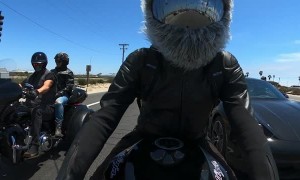 Motorcycle Rabbit Races Car