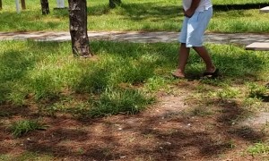 Squirrel Yeeted After Snacking on Man’s Finger