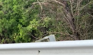 Trucker Prevents Cars From Using Emergency Lane