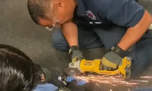 Firefighters rescue kitten stuck in pipe