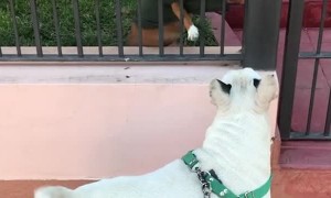 Security System Hits A Snag