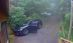 Woman runs in terror after discovering bear in her vehicle