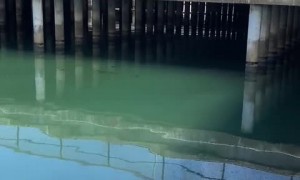 Flood channel between Newport and Huntington Beach coated with oil & tar