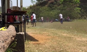 Man Smashes Hornets Nest During Soccer Warm Up